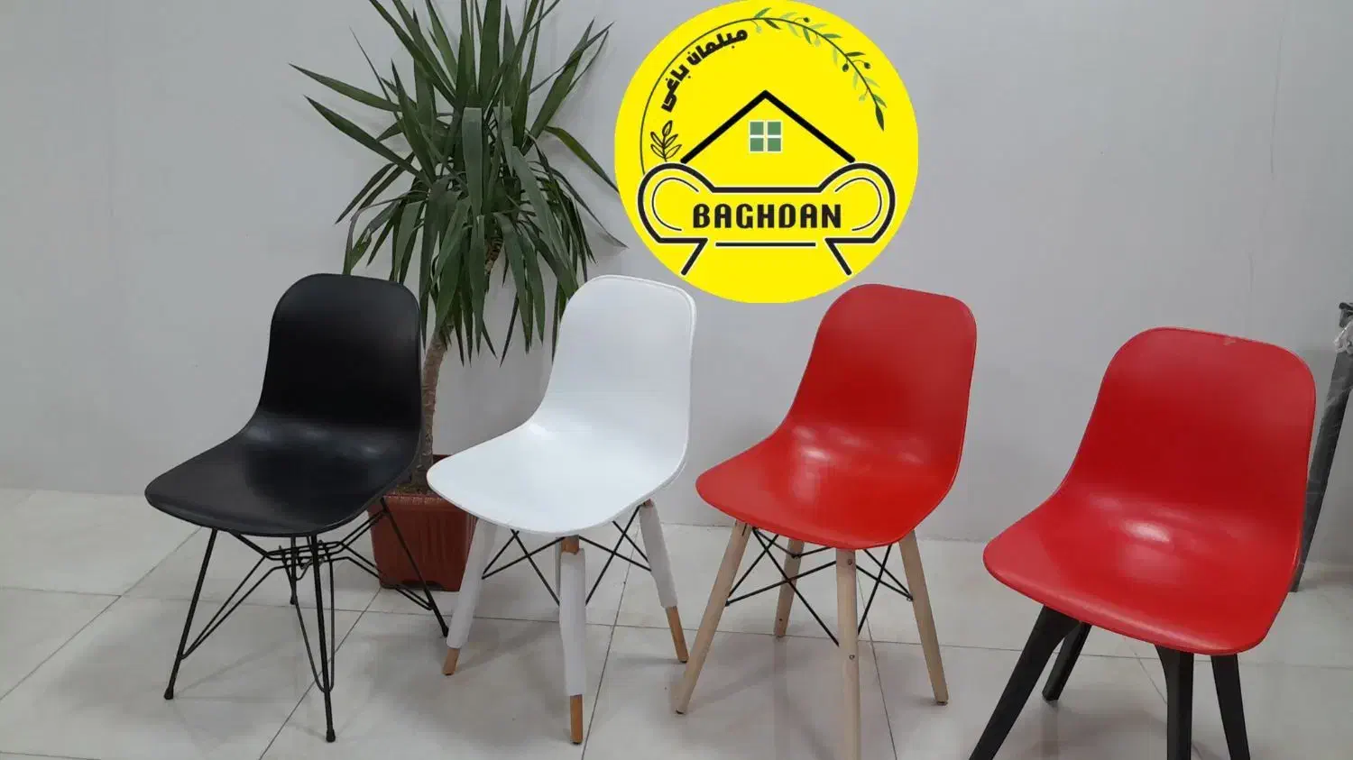 صندلی پلاستیکی پلیمری کافه غذاخوری(باغدان)مدل تینا|میز و صندلی غذاخوری|چهارباغ, |دیوار