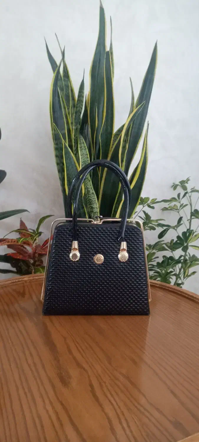 کیف مجلسی|کیف، کفش، کمربند|نیشابور, دانشگاه نیشابور|دیوار