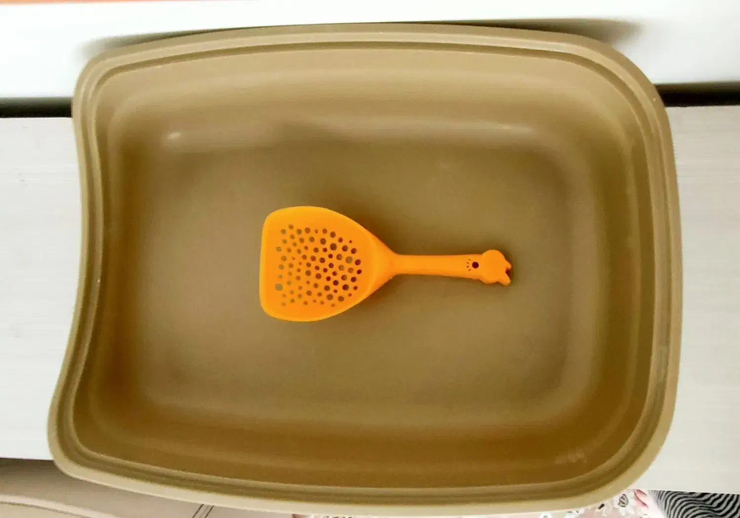 ظرف خاک گربه راحت رو همراه بیلچه|لوازم جانبی حیوانات|تهران, ازگل|دیوار