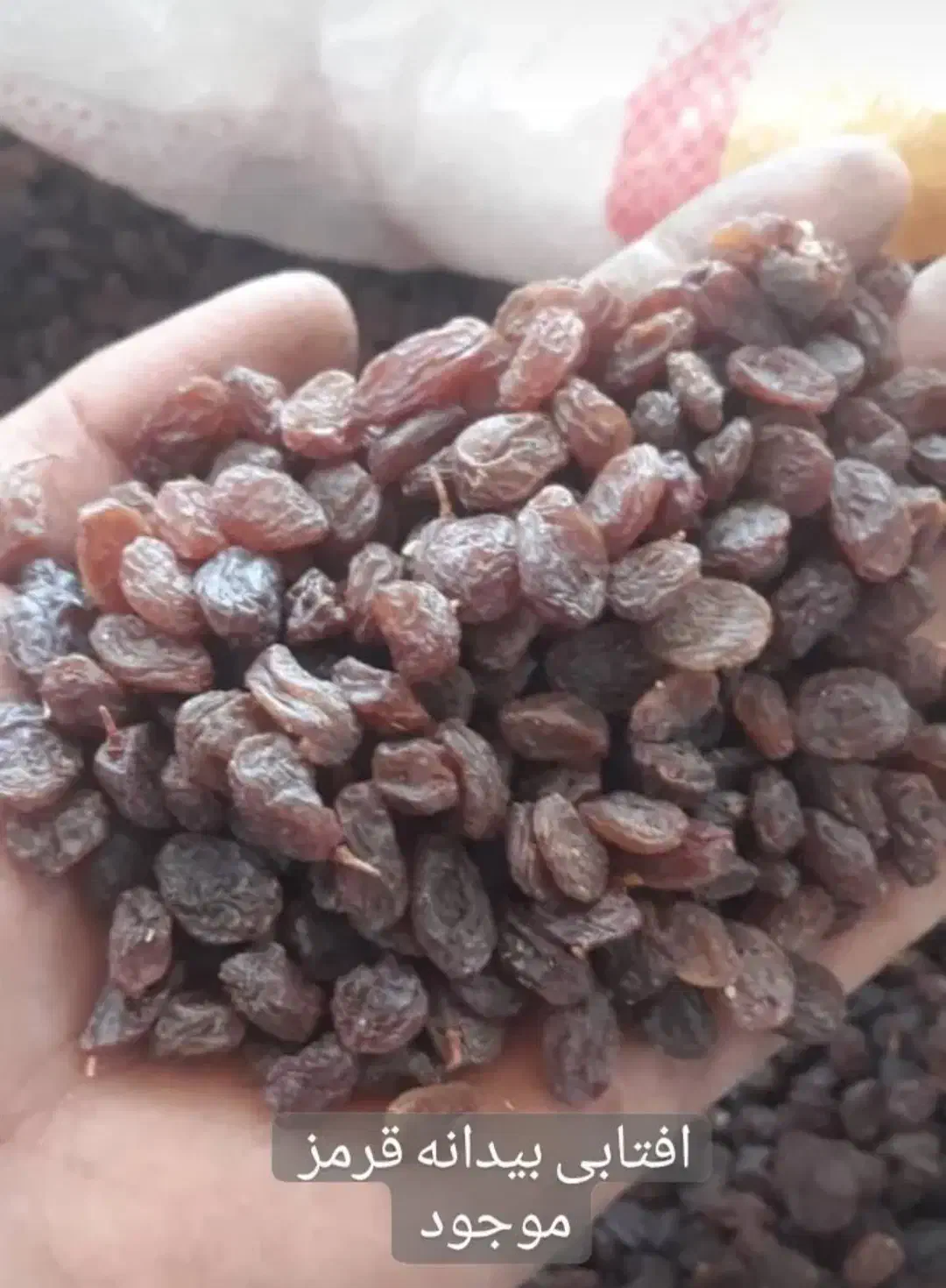 کشمش پلویی|خوردنی و آشامیدنی|تهران, هفت چنار|دیوار