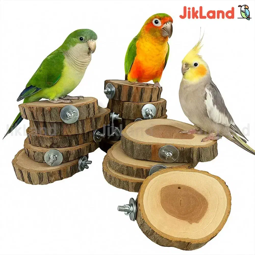 چوب نشیمن طوطی لوازم پرنده|لوازم جانبی حیوانات|قم, انصار‌الحسین|دیوار