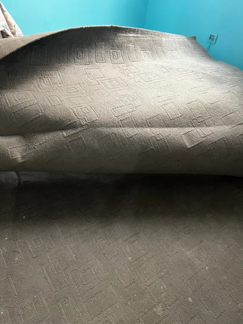 موکت|موکت|بندر کنگان, |دیوار