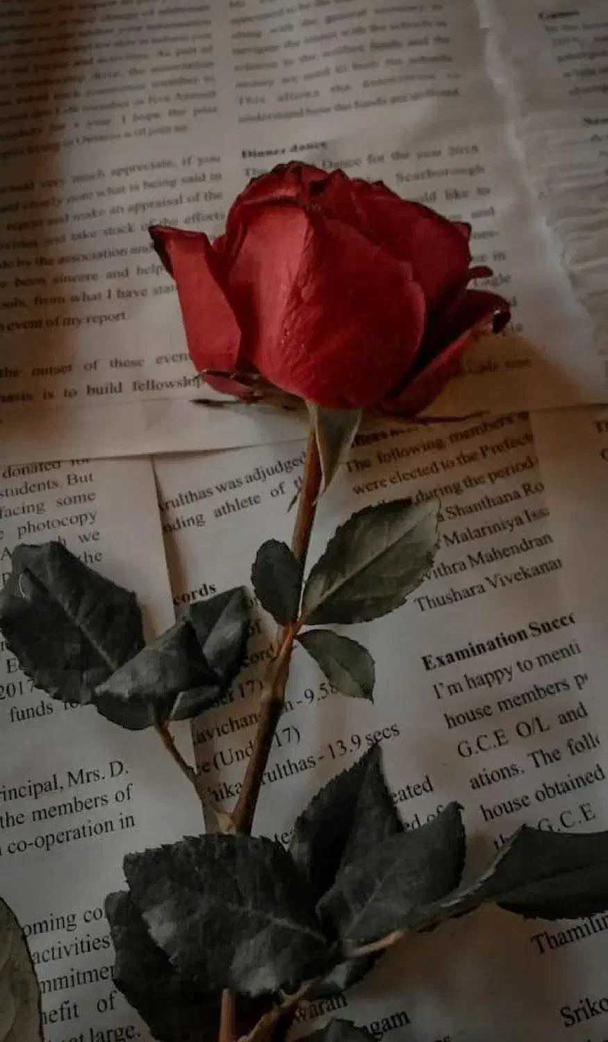 سرویس مدارس و اداره|خدمات حمل و نقل|چابهار, |دیوار