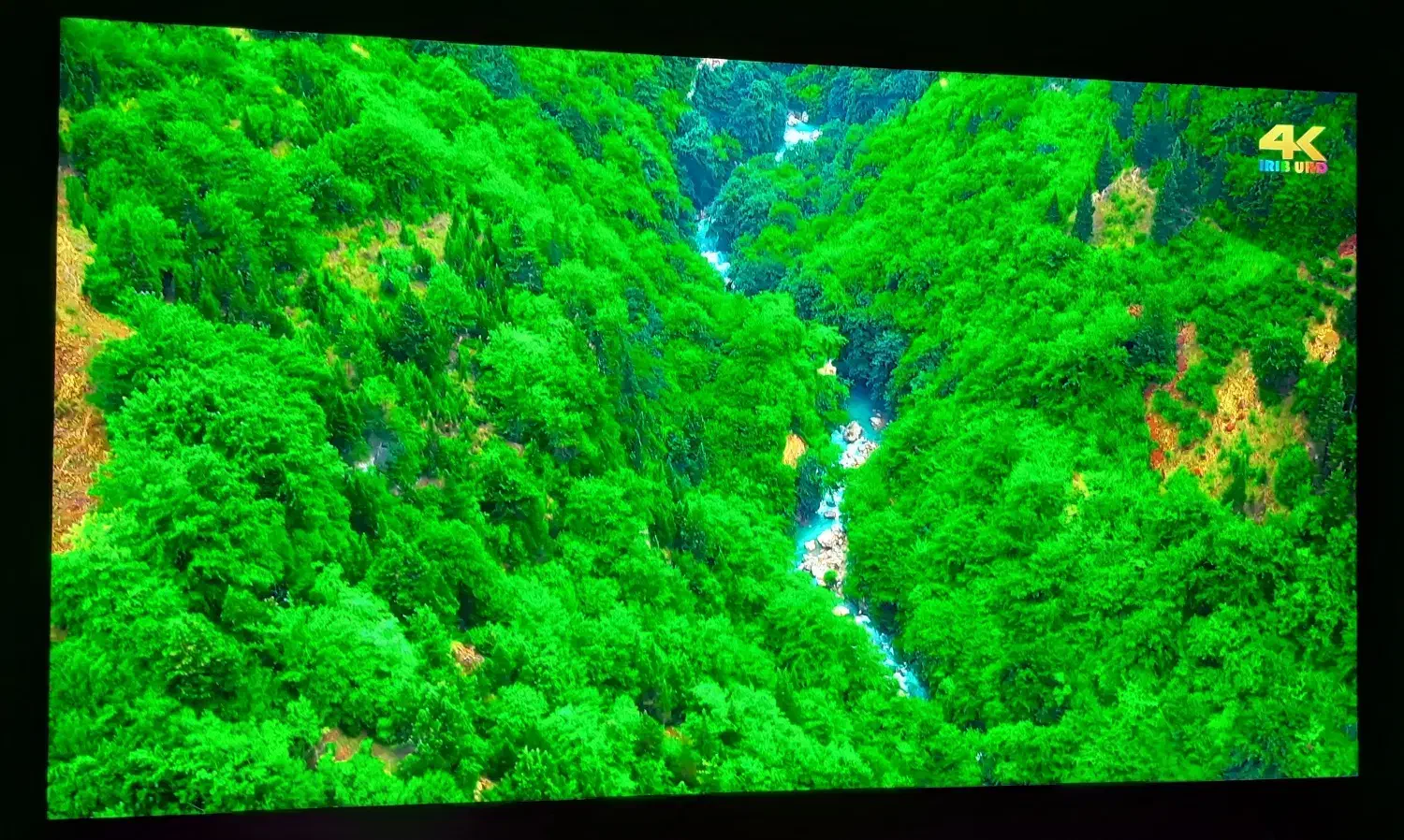 تلویزیون65 اینچ LG QNED 90|تلویزیون و پروژکتور|اندیشه, اندیشه فاز ۴|دیوار