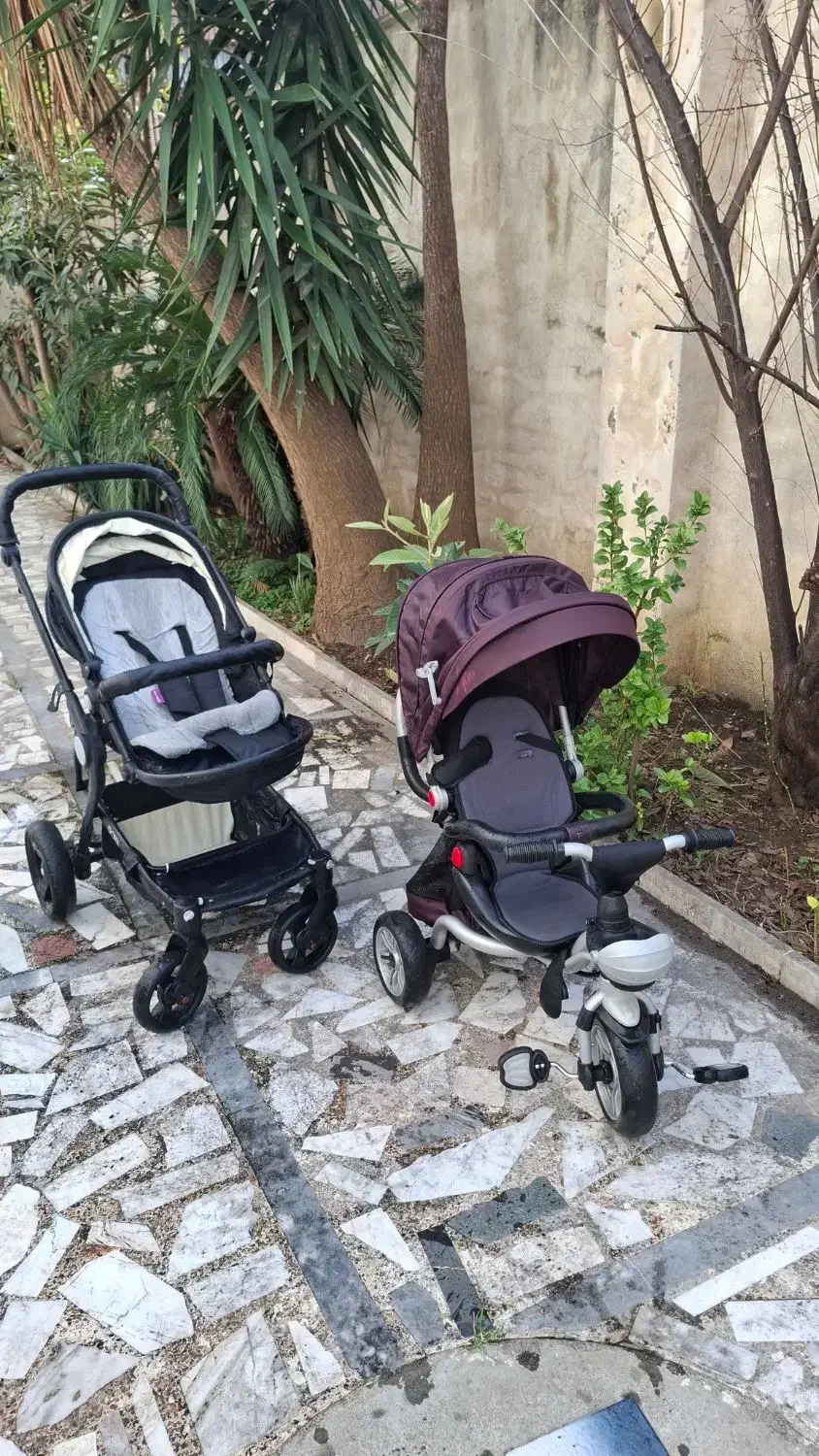 کالسکه و سه چرخه|کالسکه و لوازم جانبی|رشت, نظری|دیوار