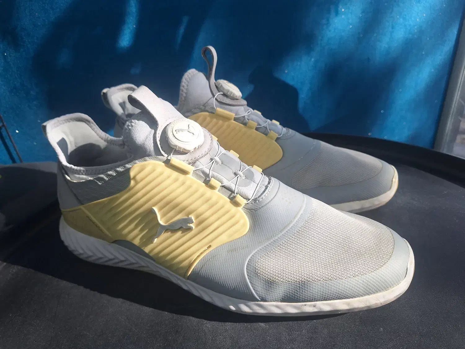 کتونی اورجینال|کیف، کفش، کمربند|پیرانشهر, |دیوار