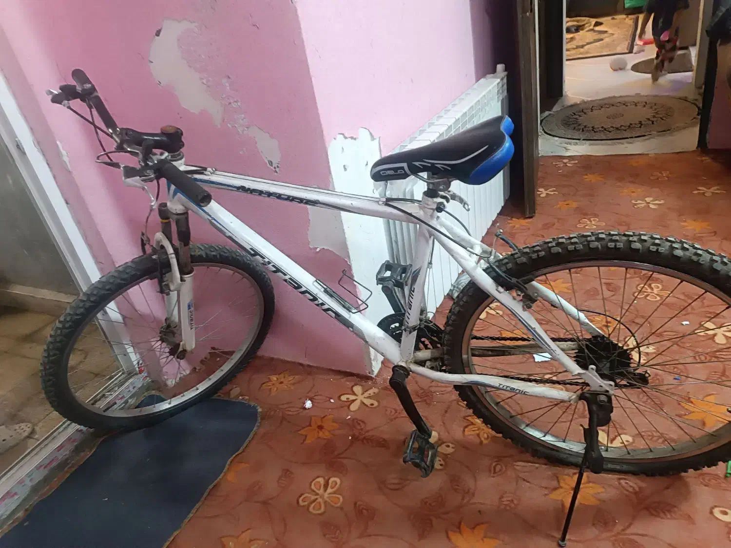 دوچرخه|دوچرخه، اسکیت، اسکوتر|گلبهار, شهر جدید گلبهار|دیوار