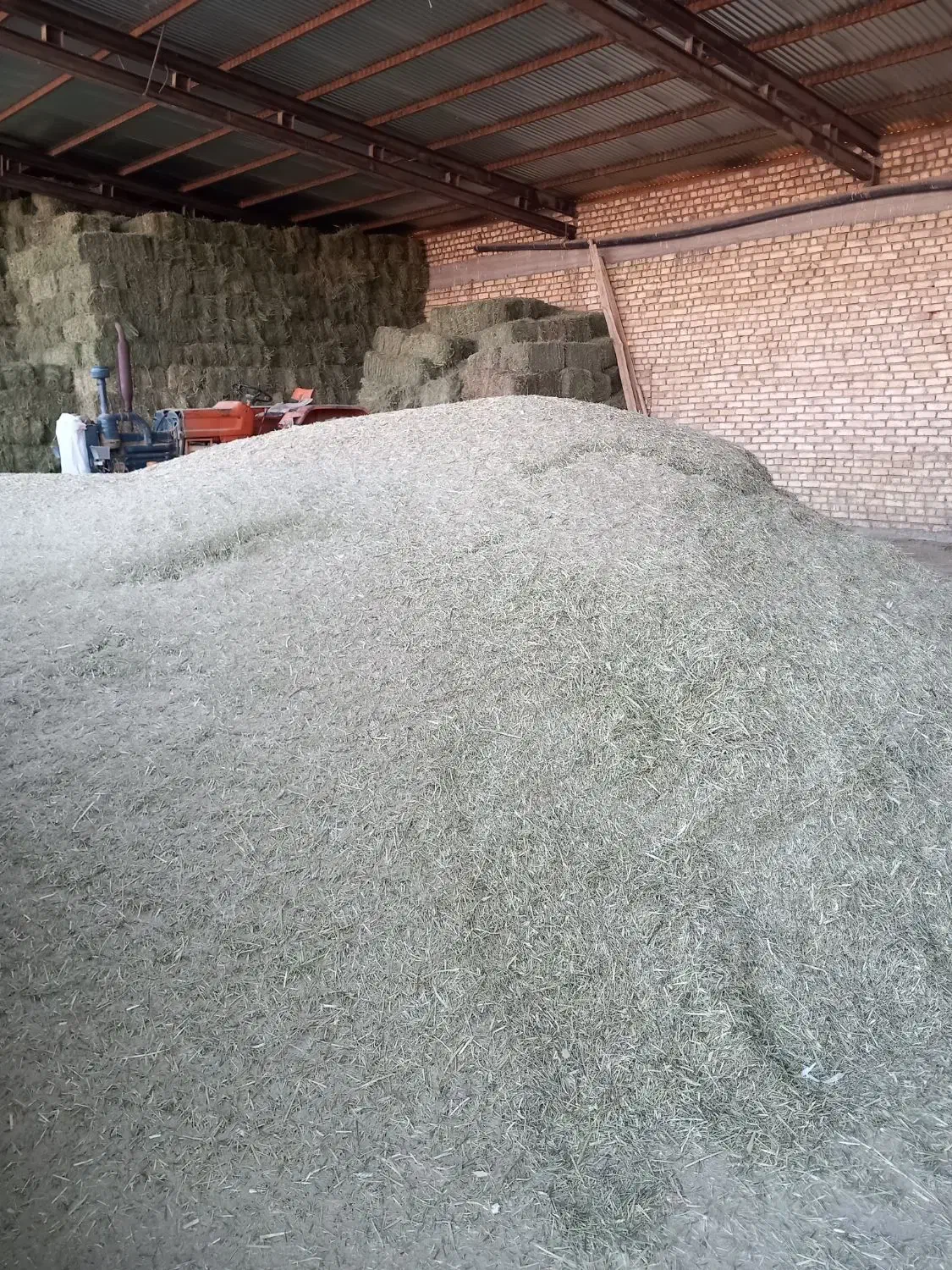 یونجه خورد شده چین اول|عمده‌فروشی|شهرکرد, |دیوار