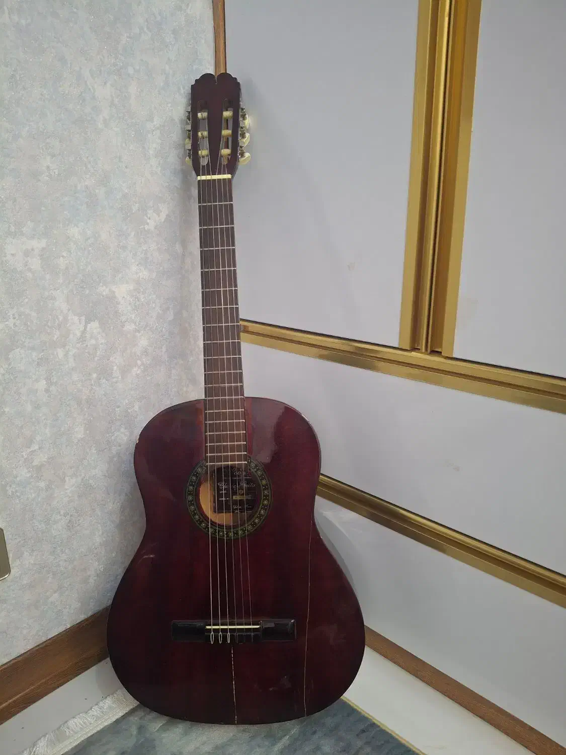 گیتار پویا|گیتار، بیس، امپلیفایر|اصفهان, فروردین|دیوار