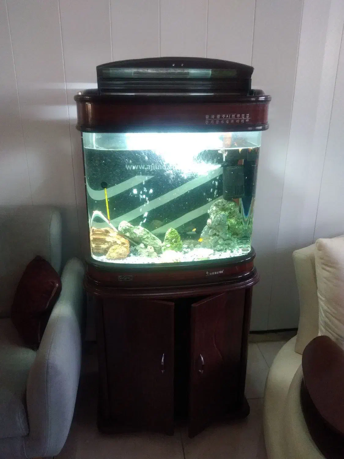 اکواریم خارجی  درحدنو 50/60باتمام لوازم وماهی|ماهی|مشهد, مشکینی (شهرک غرب)|دیوار