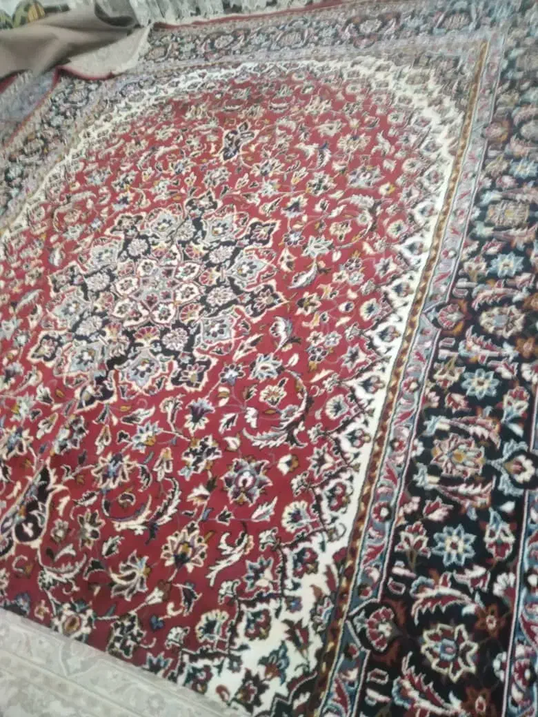 فرش وگلیم|فرش|جهرم, |دیوار