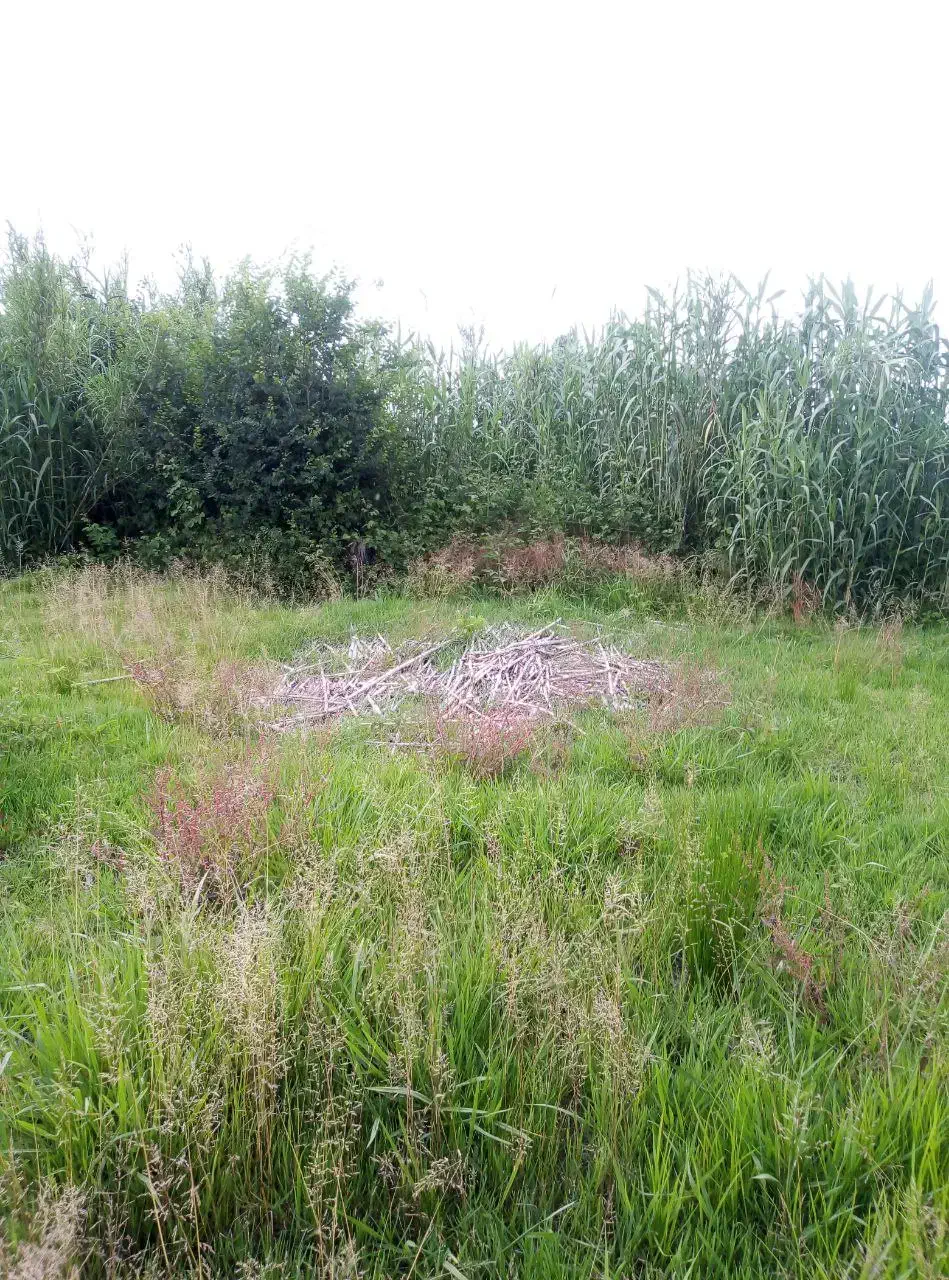 زمین مسکونی ۶۳۰ متر|فروش زمین و ملک کلنگی|سنگر, |دیوار