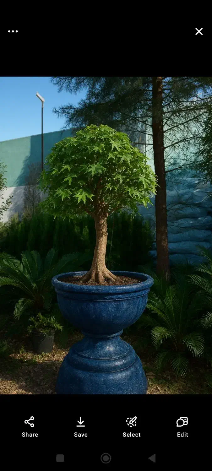 واگذاری گلخانه|فروش دفتر صنعتی، کشاورزی، تجاری|نظرآباد, رسالت|دیوار