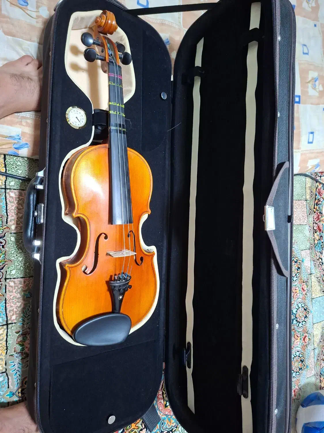 ویولن ۰۰۸۰۰|ویولن|دوگنبدان, |دیوار