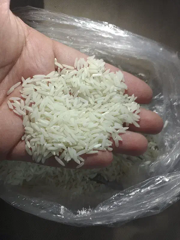 برنج هاشمی|خوردنی و آشامیدنی|خشکبیجار, |دیوار