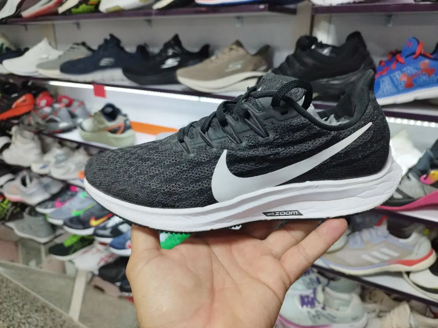 کتونی انواع برندهای اورجینال (کتونی امیر)|کیف، کفش، کمربند|اصفهان, فرح آباد|دیوار