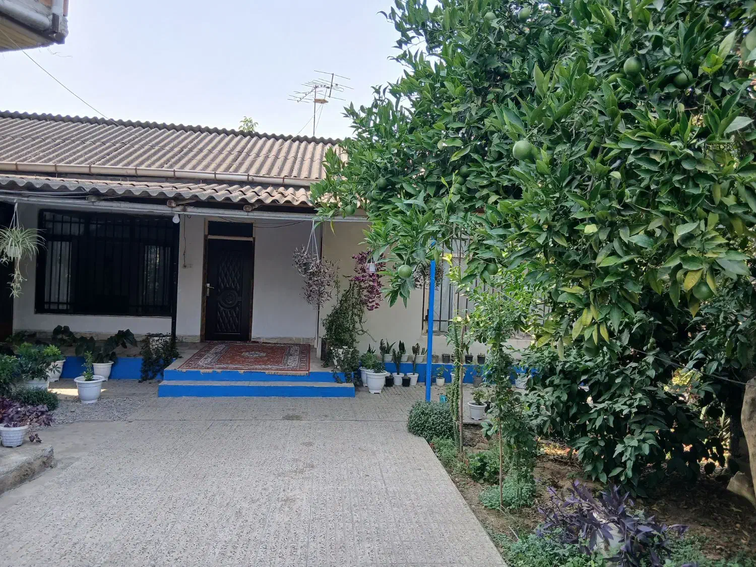 خونه روستایی مستقل با کلیه امکانات و پارکینگ|اجارهٔ کوتاه‌مدت ویلا و باغ|قائم‌شهر, |دیوار