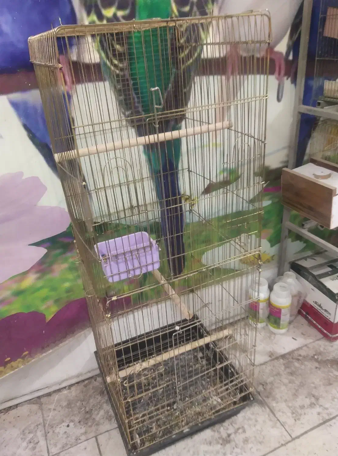 قفس بسیاربزرگ دوطبقه کاسکویی    آیهان|لوازم جانبی حیوانات|خوی, |دیوار