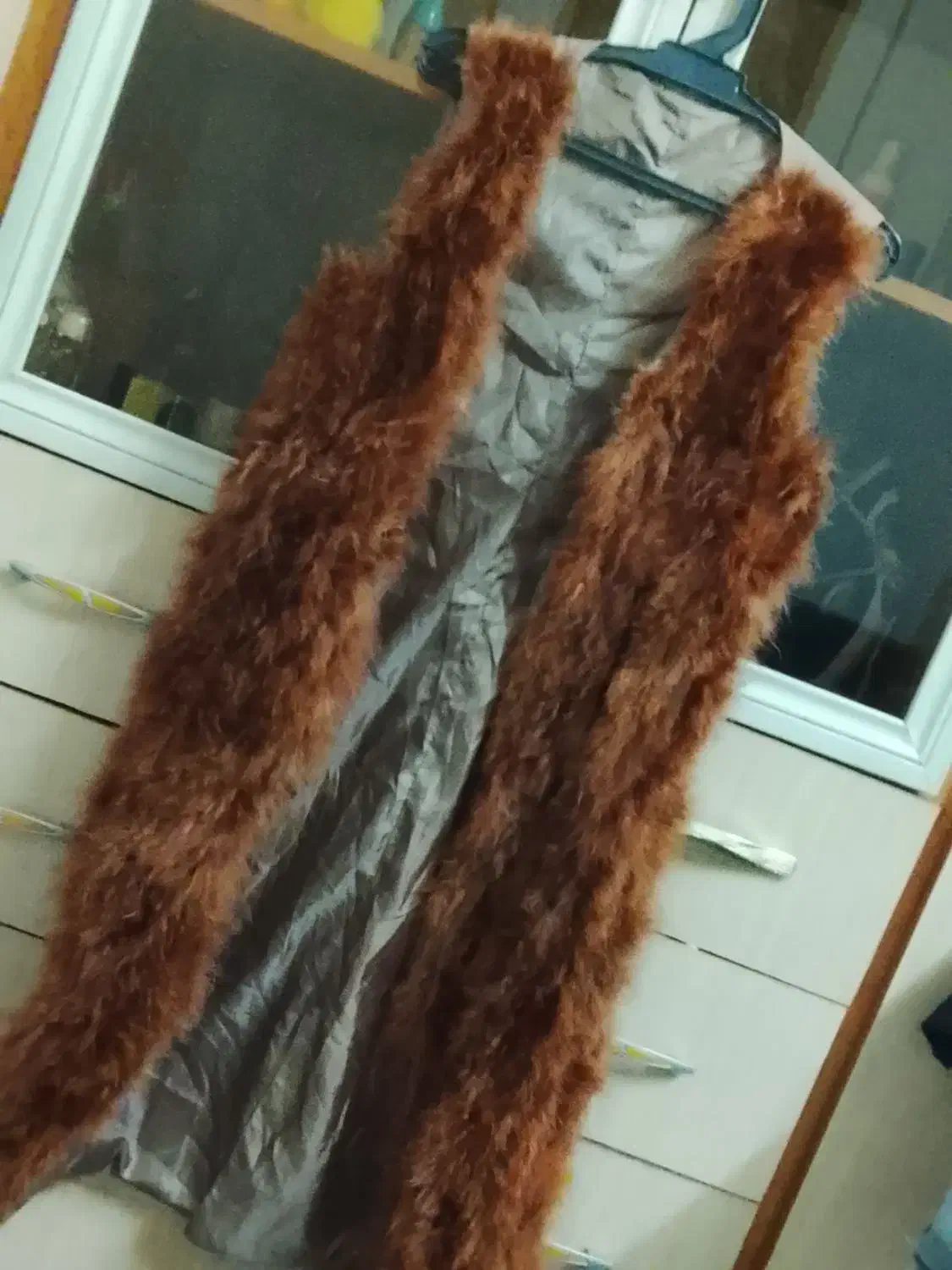 پالتو خزدار|لباس|مشهد, طبرسی شمالی|دیوار