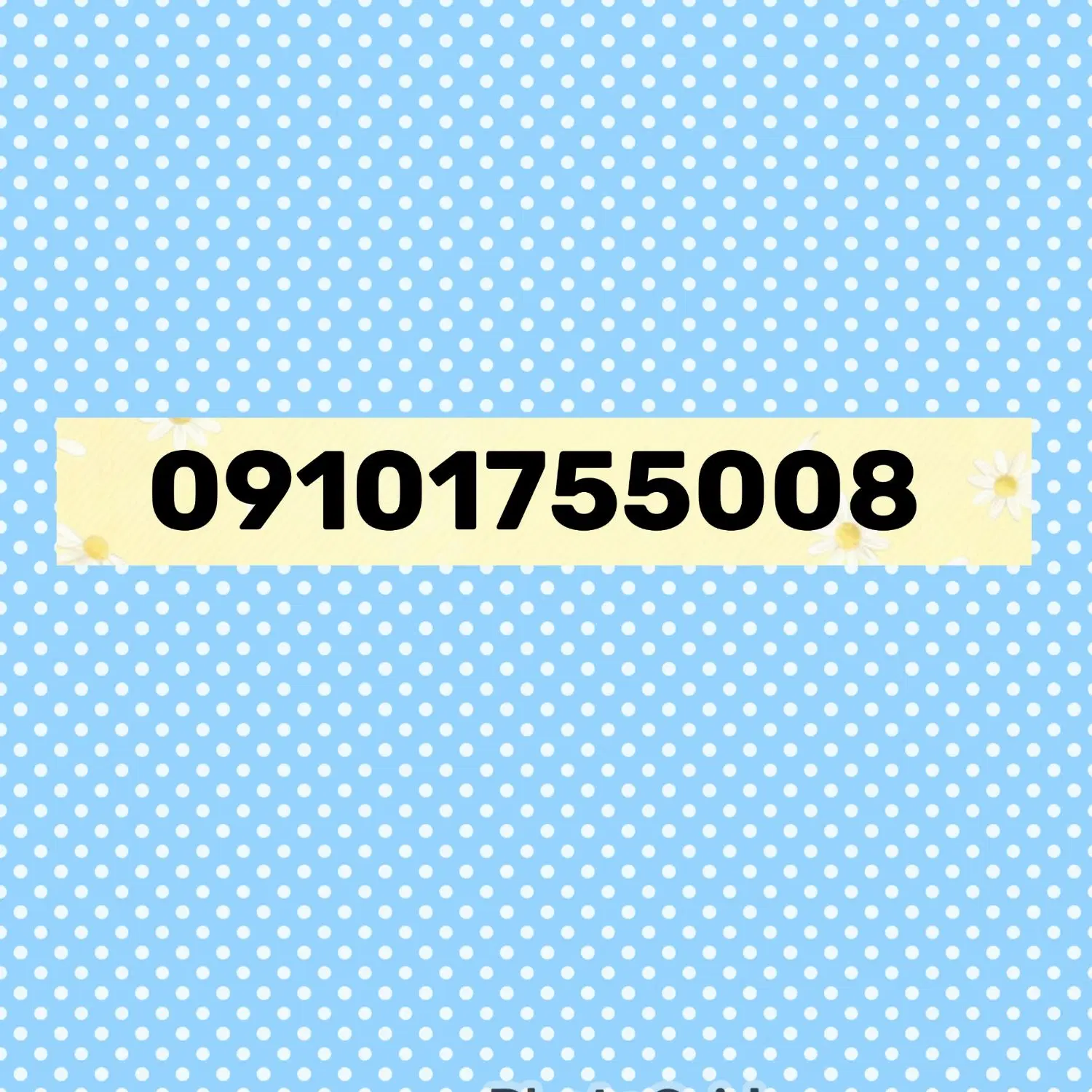 09101755008|سیم‌کارت|گرگان, |دیوار