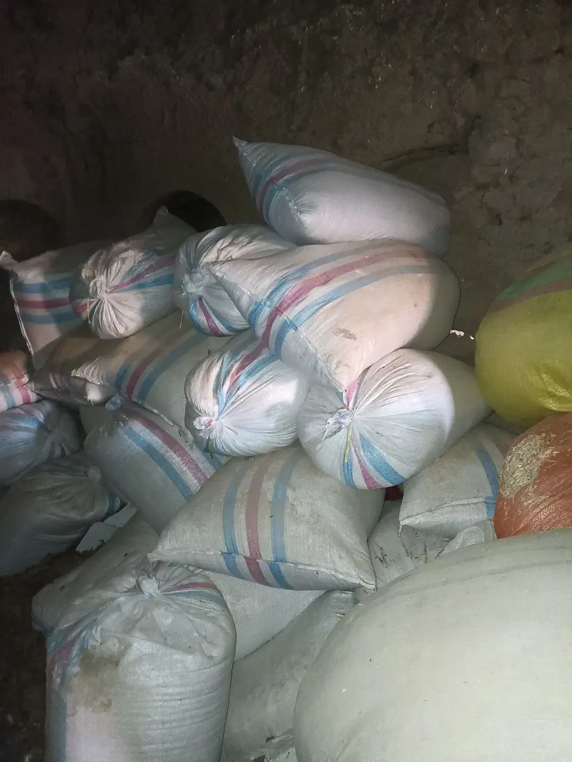 پرلیت گل و گلدان|گل و گیاه طبیعی|تربت‌حیدریه, منظر|دیوار