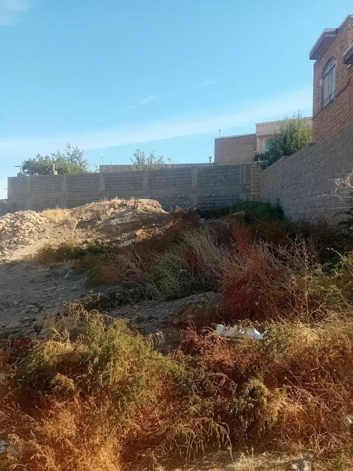 زمین خام|فروش زمین و ملک کلنگی|شاهین دژ, |دیوار