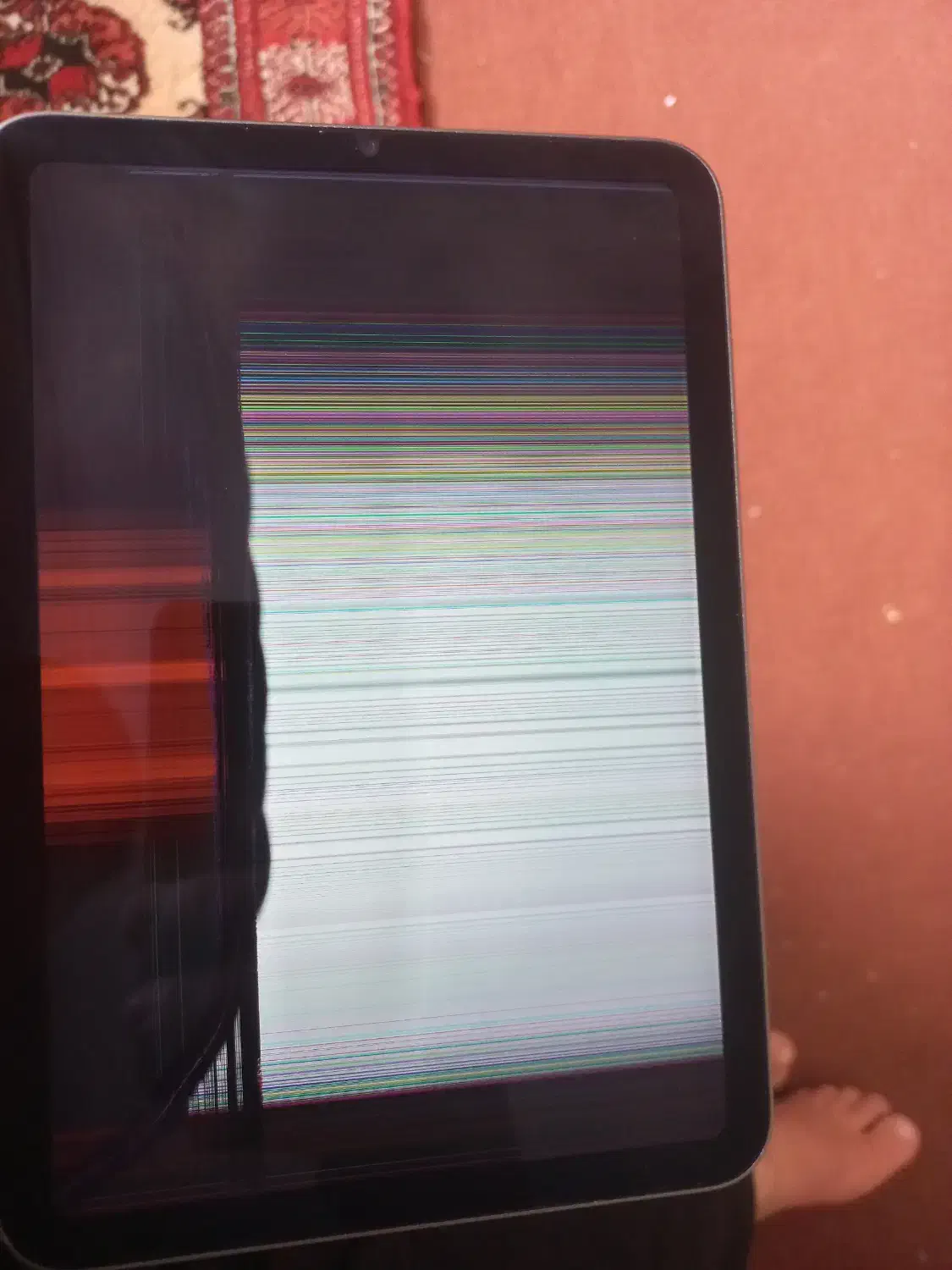 تبلت مینی مدل اپل|تبلت|گنبد کاووس, |دیوار