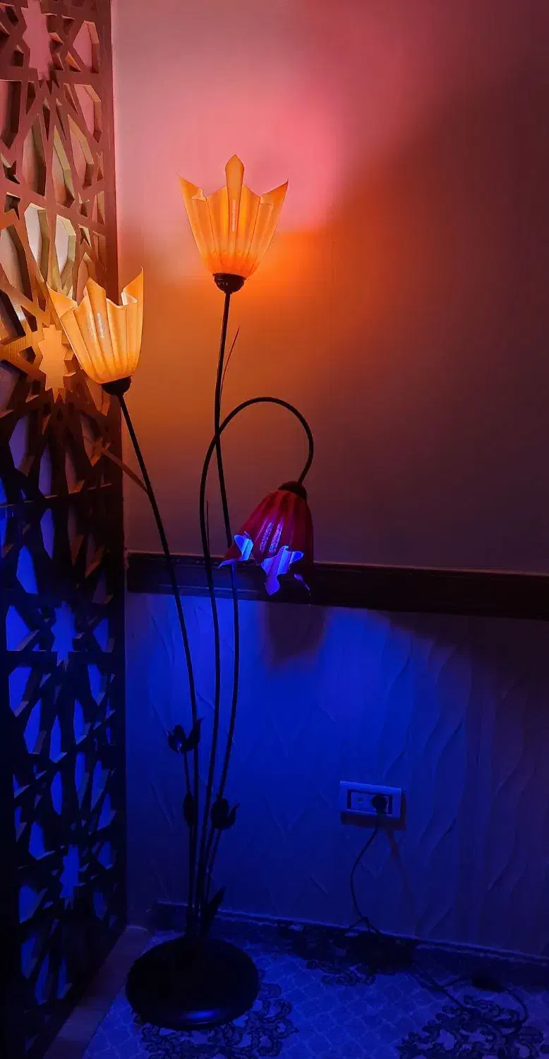 شب نما طرح گل بسیار زیبا|چراغ خواب و آباژور|مریوان, |دیوار