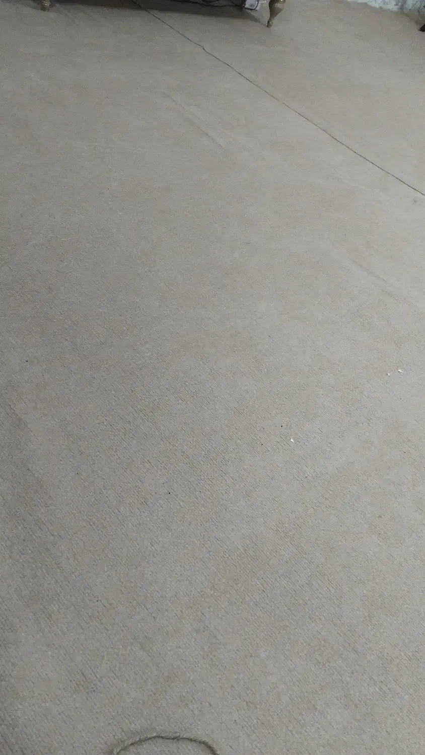 موکت کرمی|موکت|خلخال, |دیوار