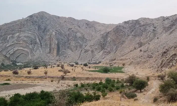 اجاره ۶ هکتار زمین کشاورزی|اجارهٔ دفتر صنعتی، کشاورزی، تجاری|دوگنبدان, |دیوار
