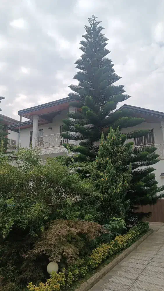 اجاره ویلااستخردار /شهرکی برند(خانم الهی)|اجارهٔ خانه و ویلا|رویان, |دیوار