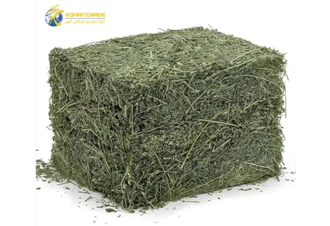 یونجه بدون علف شلیف بزرگ|لوازم جانبی حیوانات|یاسوج, |دیوار