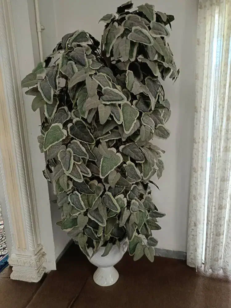 درخت مصنوعی زینتی|گل مصنوعی|شیراز, سهلآباد|دیوار