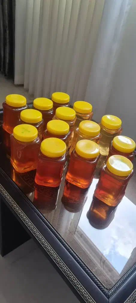 فروش عسل صددرصد طبیعی و جنگلی|خوردنی و آشامیدنی|چمستان, |دیوار