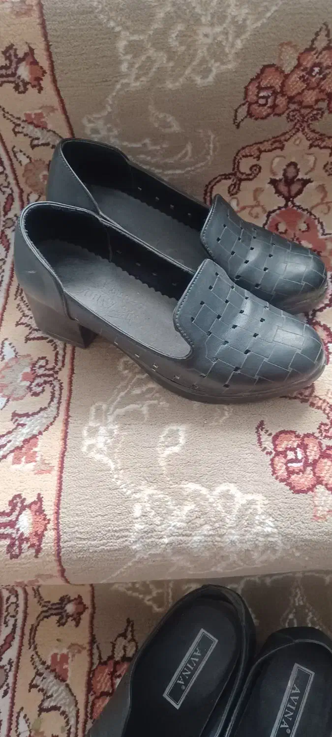 کفش وکیف|کیف، کفش، کمربند|میاندوآب, |دیوار