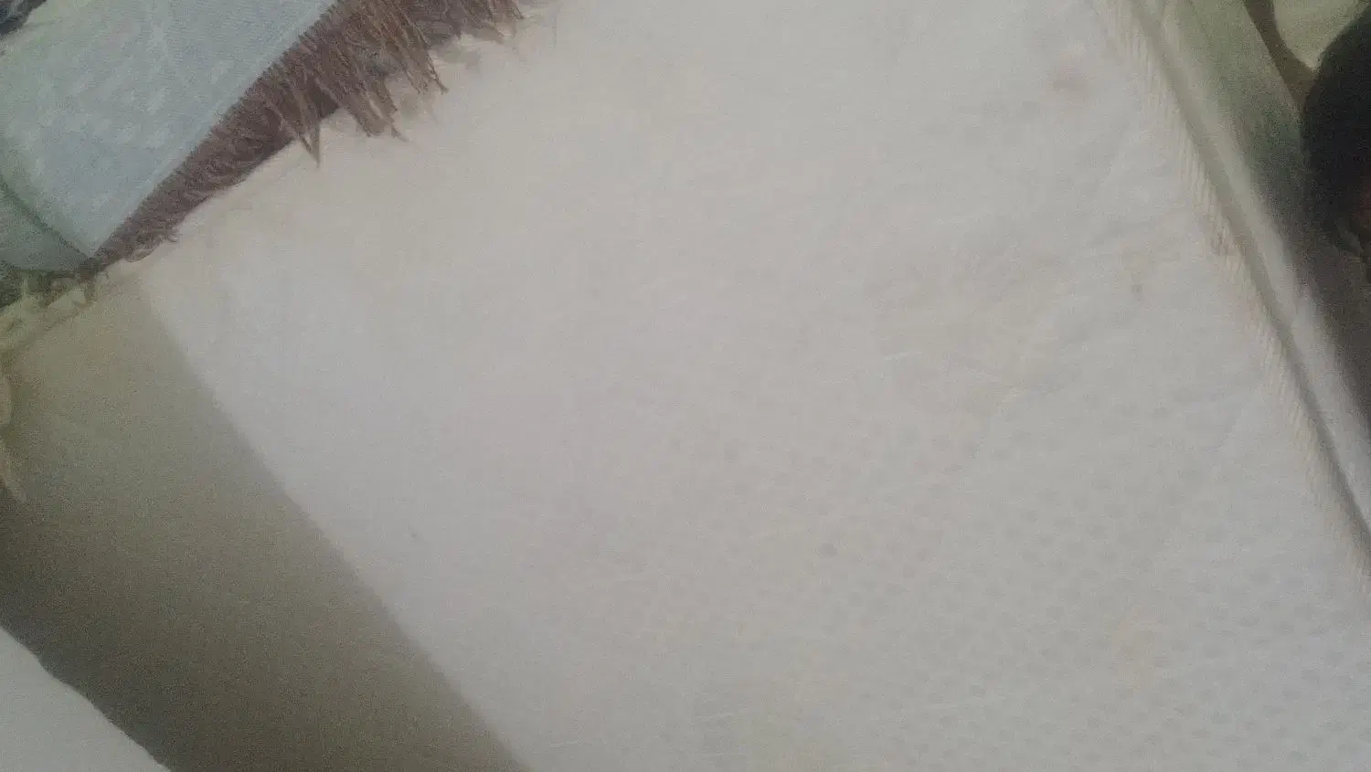 تشک طبی سالم|تشک تختخواب|یاسوج, |دیوار