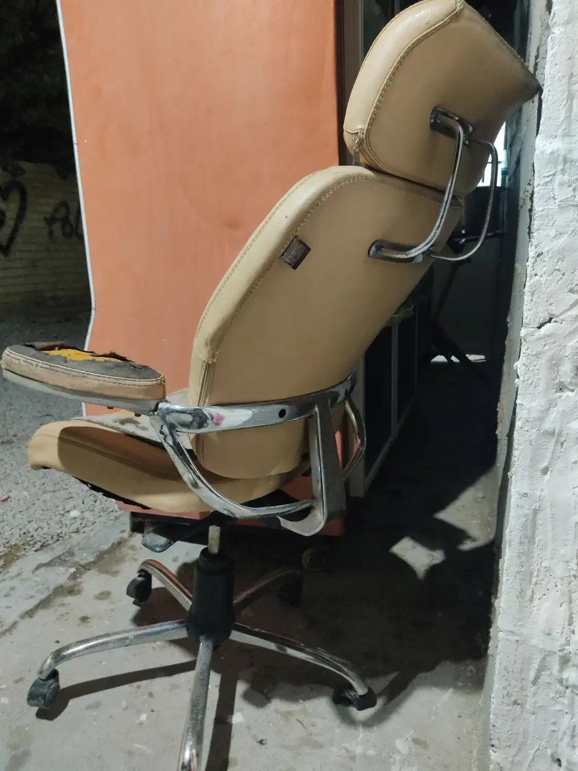 خرس پشمالو بزرگ سه متر در دومتر|اسباببازی بچه|طسوج, |دیوار