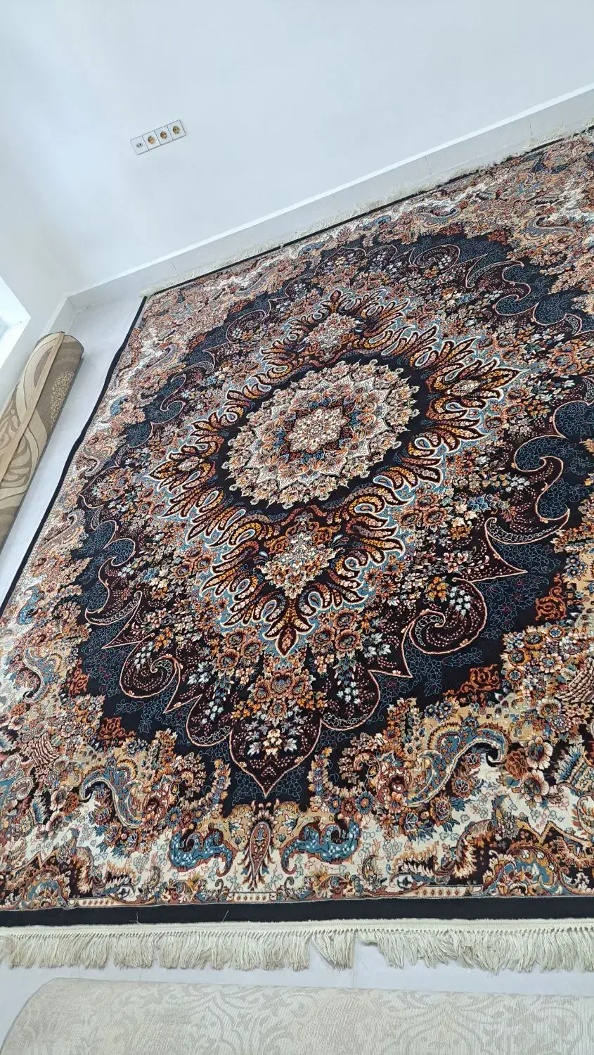 ۲ عدد قالی ۷۰۰ شانه نگین مشهد|فرش|دزفول, |دیوار