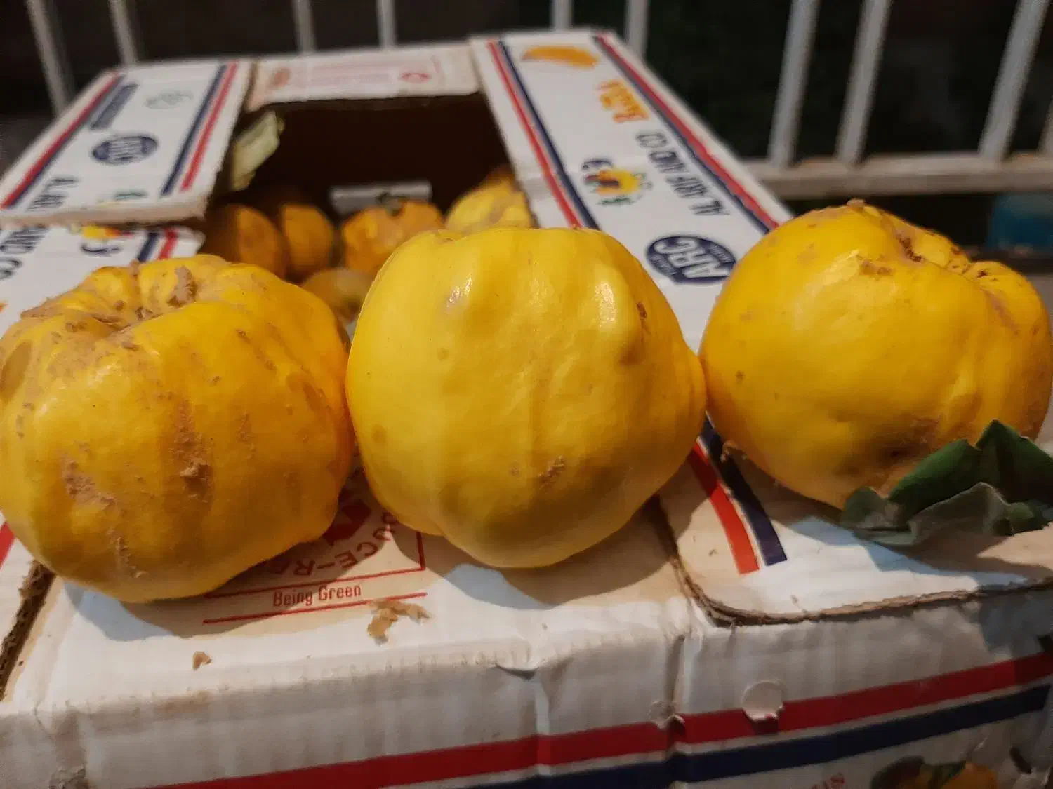 به ارگانیک محلی|خوردنی و آشامیدنی|تهران, ابوذر|دیوار