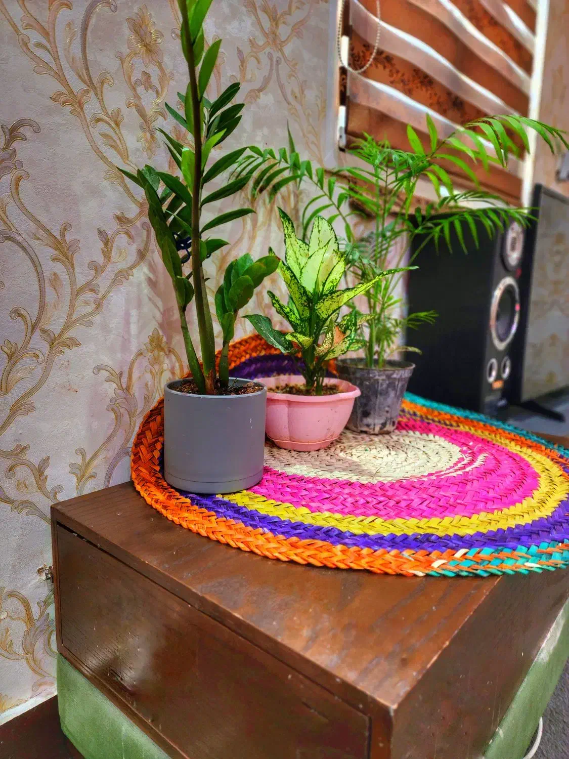 استخدام پرستار کودک و نظافت منزل|استخدام سرایداری و نظافت|بوشهر, |دیوار