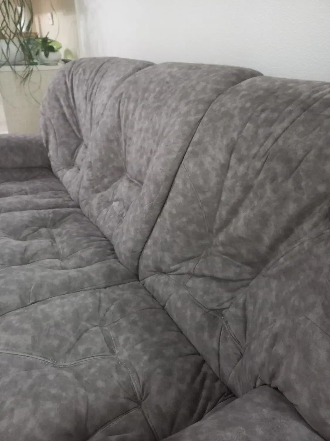 کاناپه|مبلمان خانگی و میز عسلی|شاهینشهر, اقبال لاهوری|دیوار