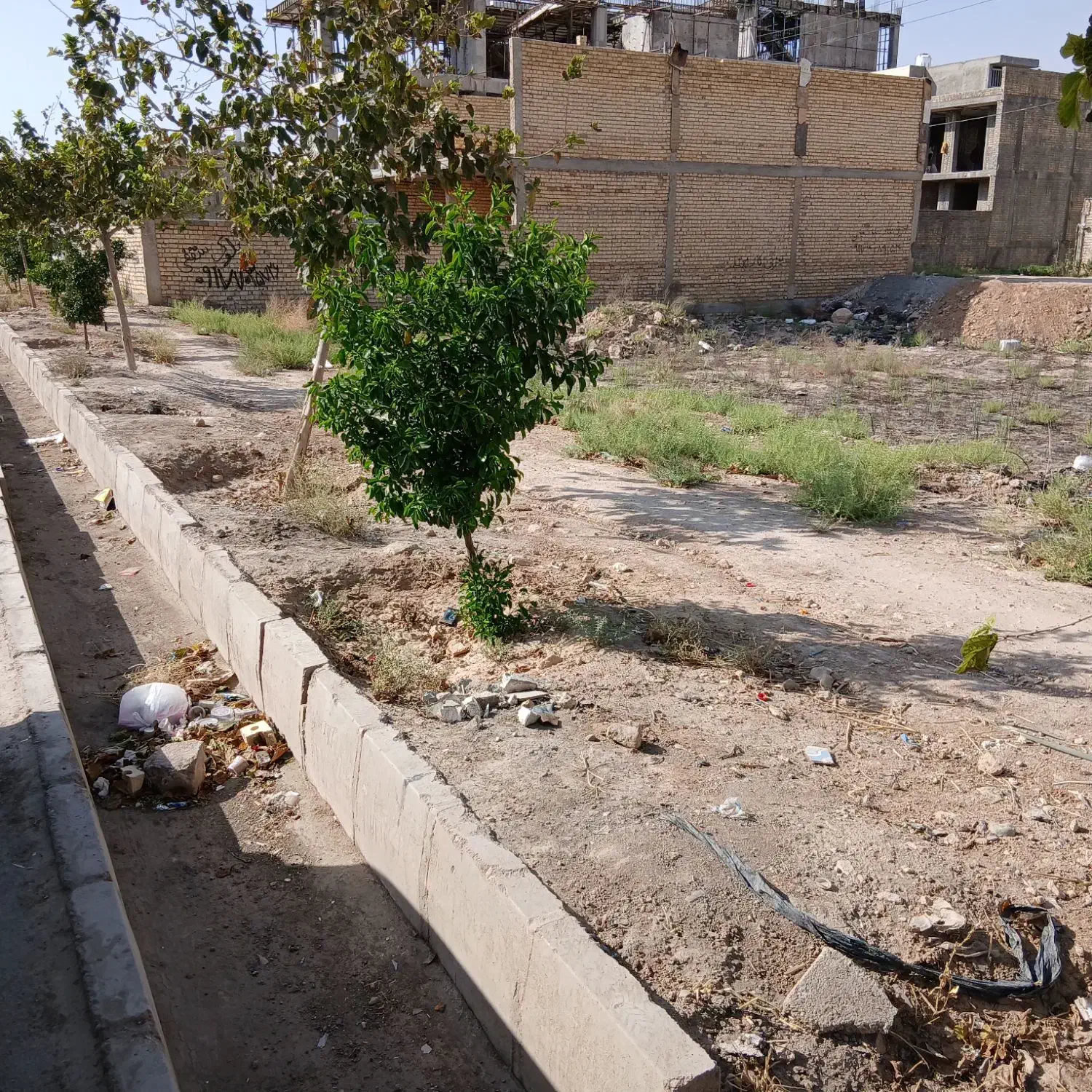 فروش زمین مسکونی ایده آل جهت سازندگی و سرمایه گذار|فروش زمین و ملک کلنگی|شیراز, شهرک صادقیه|دیوار