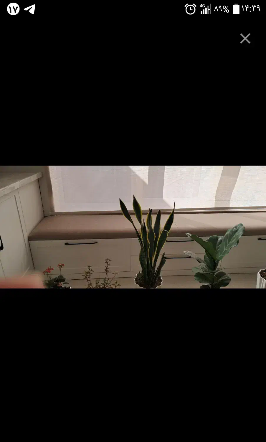 خانه ویلایی ویژه|فروش خانه و ویلا|فردوس (خراسان), |دیوار