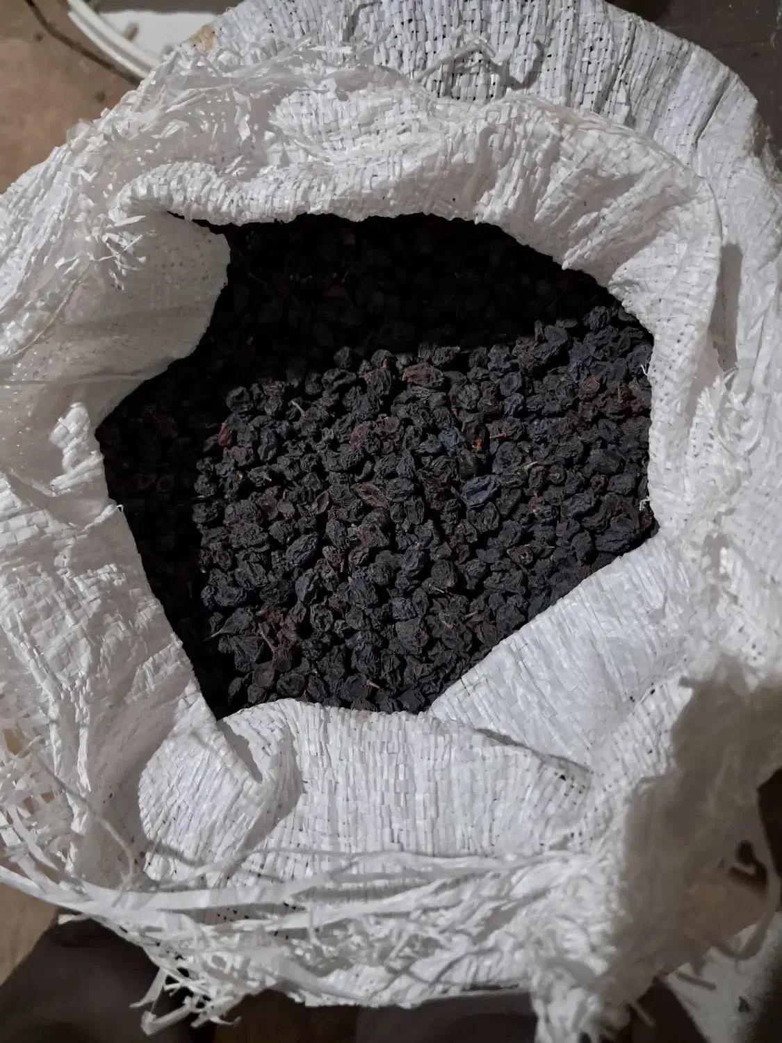 کشمش یاقوتی|خوردنی و آشامیدنی|بروجرد, |دیوار