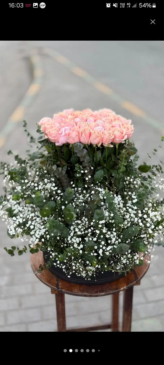 Flower Box|گل و گیاه طبیعی|مشهد, امیر|دیوار