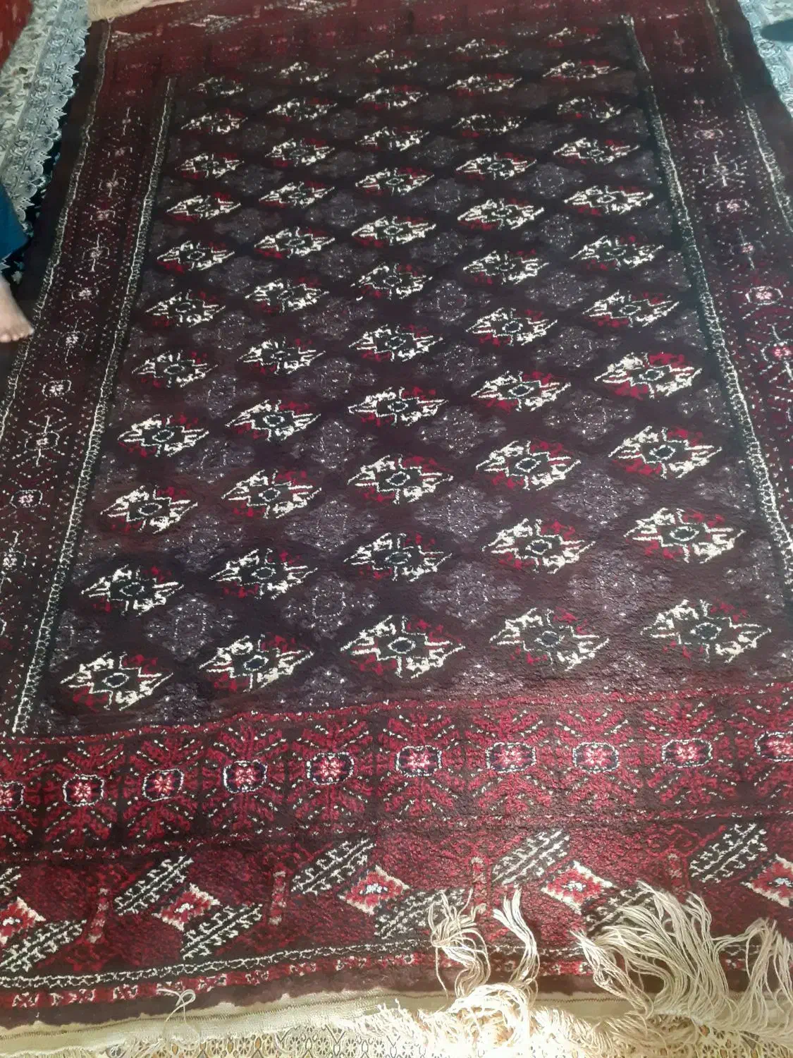 فرش ترکمنی پشم با ۶۰ سال سابقه|فرش|تاتار علیا, |دیوار