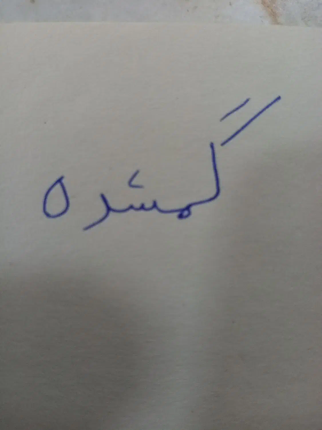 گمشده|جواهرات|نیشابور, ریوند|دیوار