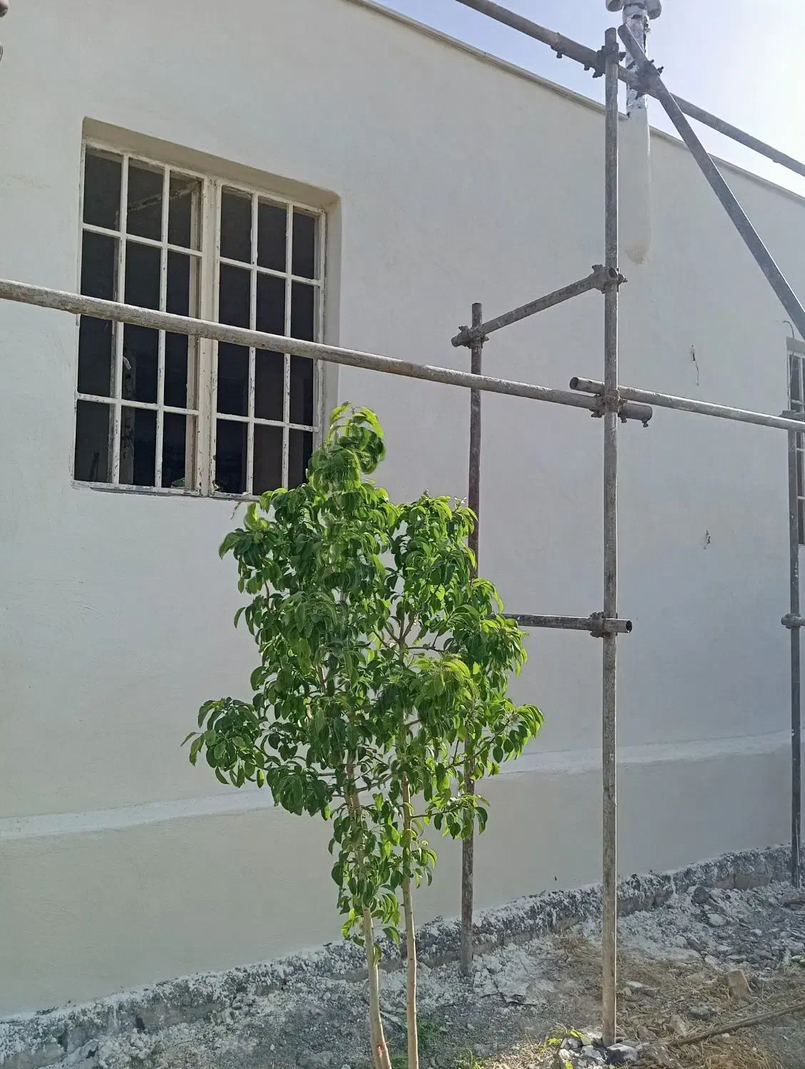 سیمانکاری در شهر و روستاها|خدمات پیشه و مهارت|ساوه, |دیوار