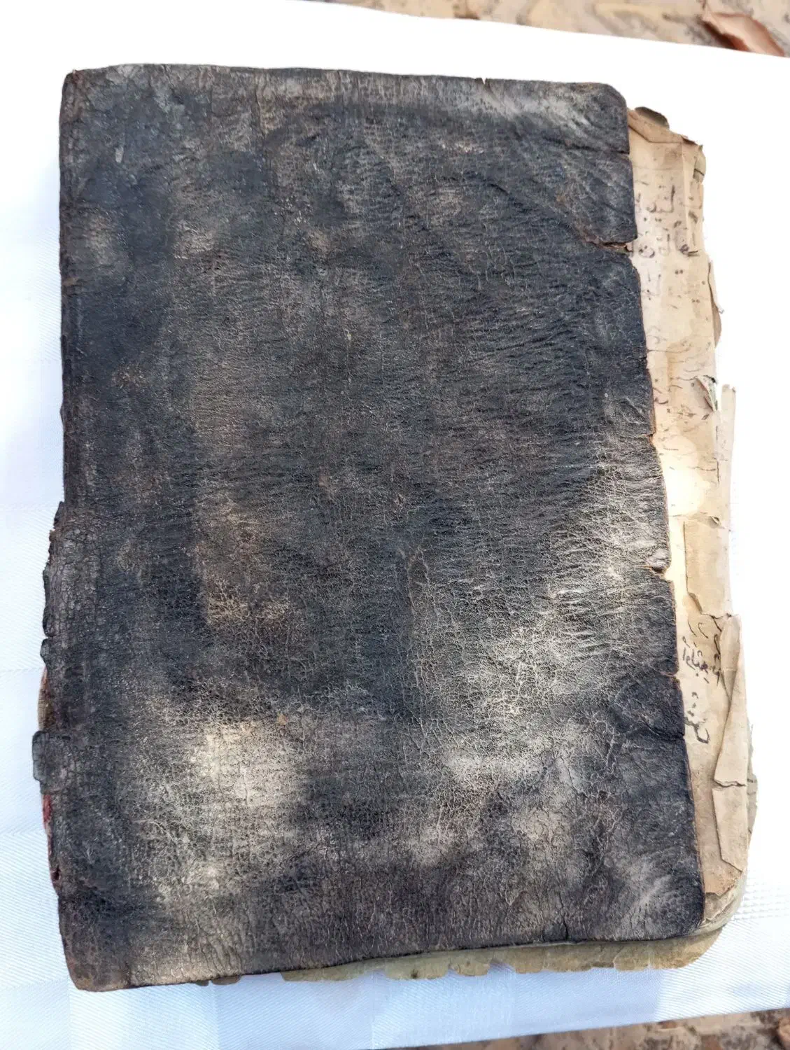 کتاب قدیمی طبی دست نویس|کتاب و مجله تاریخی|تبریز, |دیوار