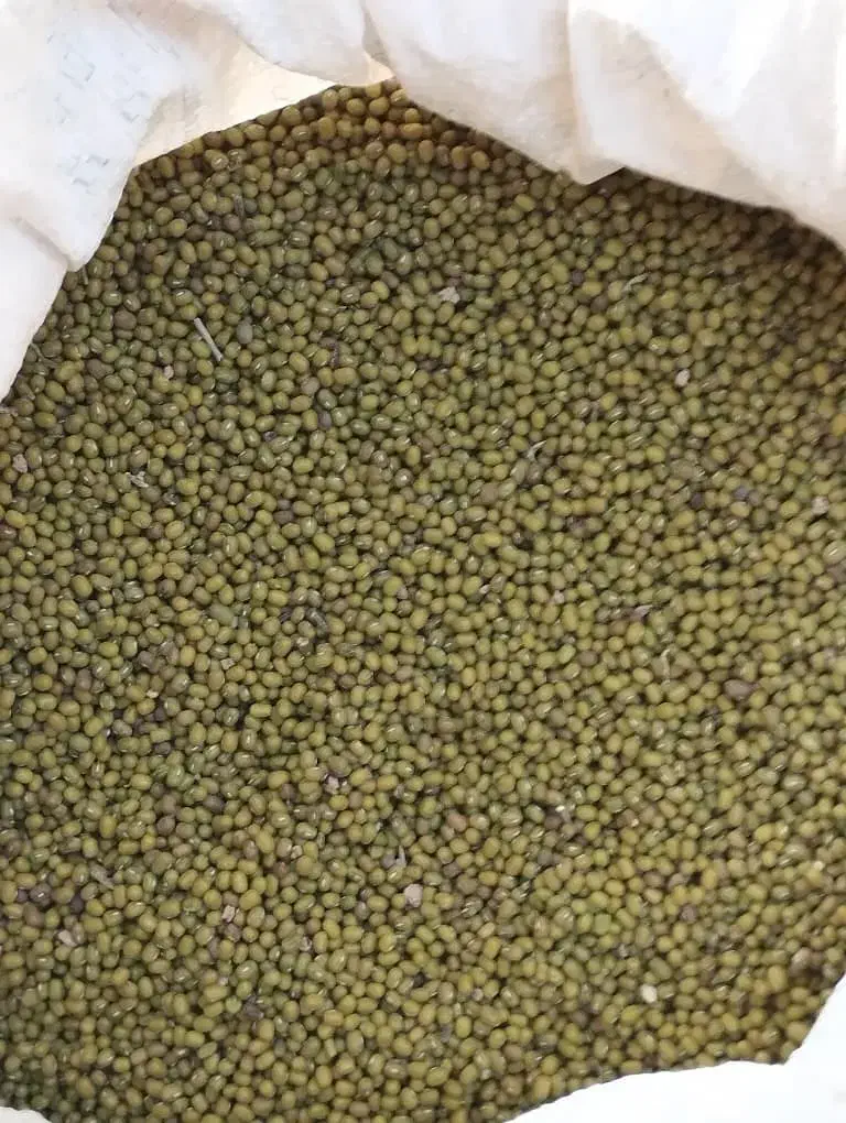 لوبیا تنظیم بازار|خوردنی و آشامیدنی|هرسین, |دیوار